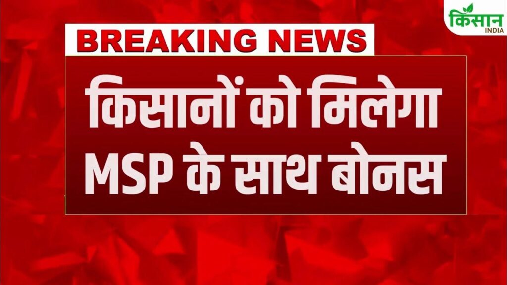 ₹2585 MSP+ ₹150 बोनस, खरीद केंद्र पर बायोमैट्रिक सत्यापन और 48 घंटे में भुगतान का दावा।